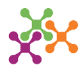 UMSA Foundation